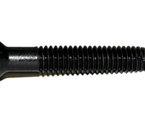 FLOOR SCREW (GDF41407)
